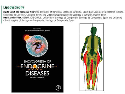 Encyclopedia of Endocrine Disease (2nd edition)